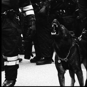 免费无遮挡🔞视频国产哈尔滨
