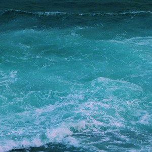 免费无遮挡🔞视频国产哈尔滨
